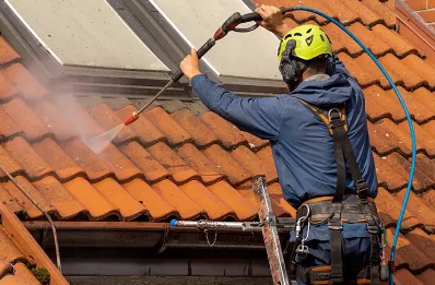 Démoussage et hydrofuge de toiture à Masparraute